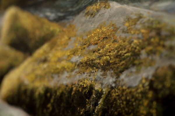 Flow - Image 5