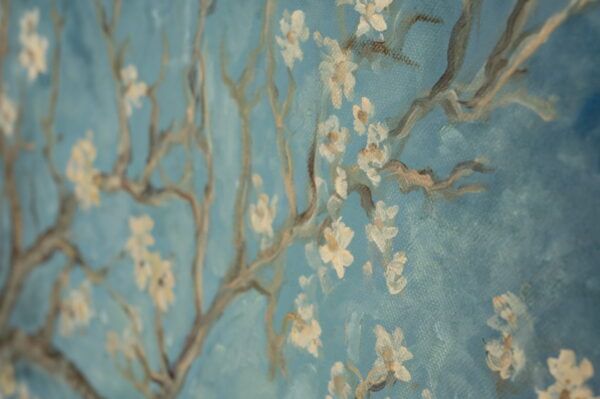 Almonds van Gogh - Image 3